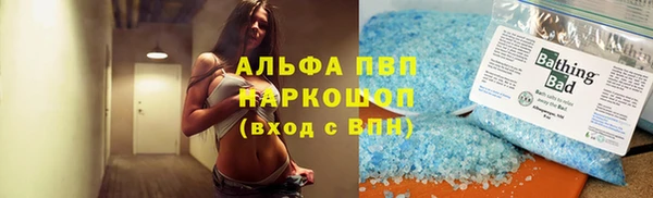 СК Богородицк