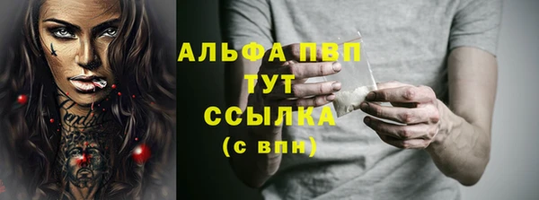 СК Богородицк