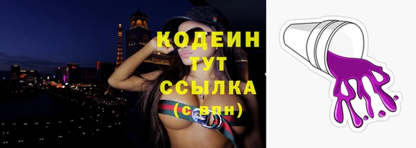 spice Богородск