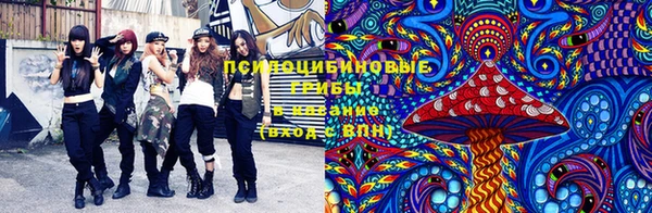 spice Богородск