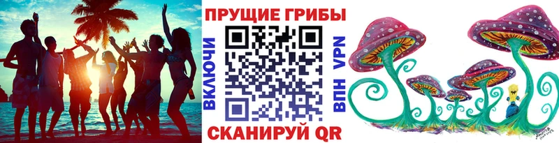 где купить наркоту  Кимры  Галлюциногенные грибы Psilocybine cubensis 